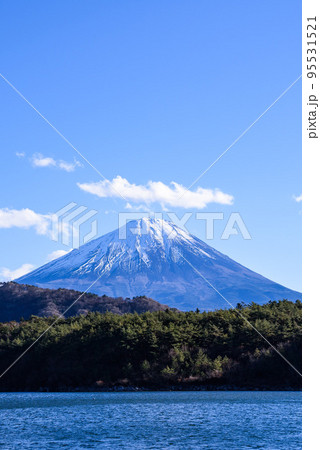 西湖から望む冠雪した富士山と青空 西湖から望む冠雪した富士山と青空 95531521
