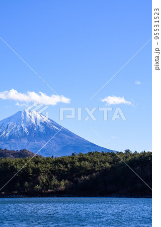 西湖から望む冠雪した富士山と青空 西湖から望む冠雪した富士山と青空 95531523