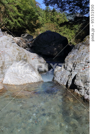 岩屋川渓谷を流れる渓流 (高知県 仁淀川町) 岩屋川渓谷を流れる渓流 (高知県 仁淀川町) 95531930