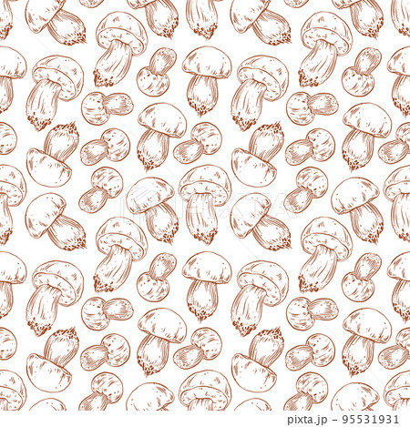 set of cute sketch porcini set of cute sketch porcini 95531931