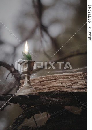Vintage gothic theme. Burning candle and old book among the black branches in the forest, vertical photo, selective focus. 95533297