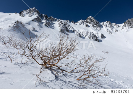 中央アルプス　千畳敷カール　長野県　紺碧の空と千畳敷カールの絶景 95533702