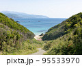 伊豆の風景 95533970