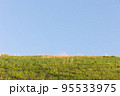 伊豆の大室山 95533975
