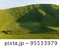 伊豆の大室山 95533979