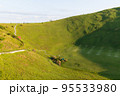伊豆の大室山 95533980