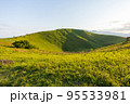 伊豆の大室山 95533981