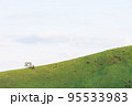 伊豆の大室山 95533983