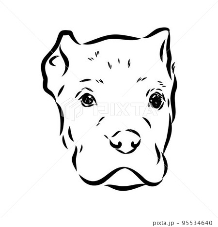 dog Cane corso italiano vector isolated...のイラスト素材 [95534640