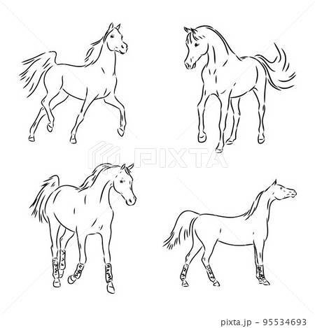 A black horse sketch, vector, color drawing or illustration. 95534693