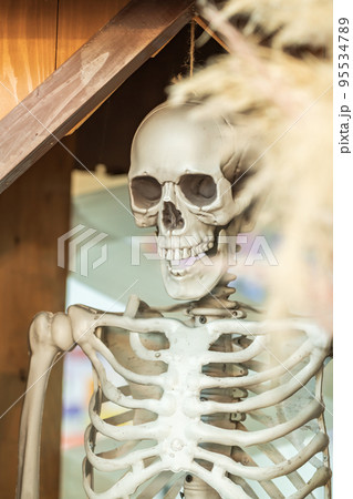 ハロウィン・晩秋イメージ ハロウィン・晩秋イメージ 95534789