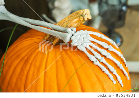 ハロウィン・晩秋イメージ ハロウィン・晩秋イメージ 95534831