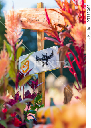 ハロウィン・晩秋イメージ ハロウィン・晩秋イメージ 95535066