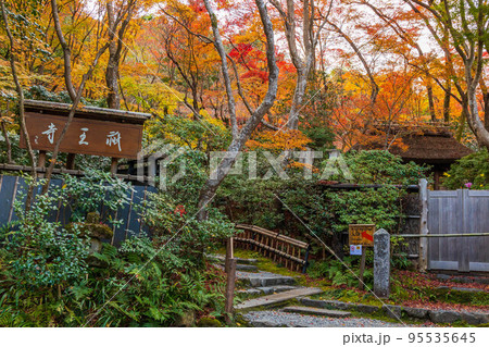 京都嵯峨嵐山の秋　紅葉の祇王寺 95535645