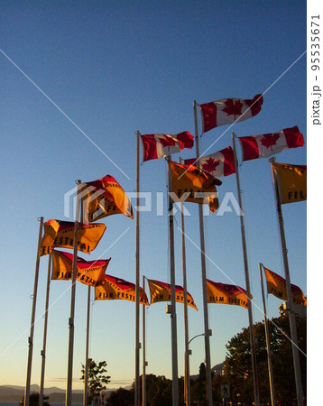 カナダの国旗　揺れる旗 95535671