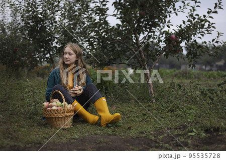 girl and apple harvest girl and apple harvest 95535728