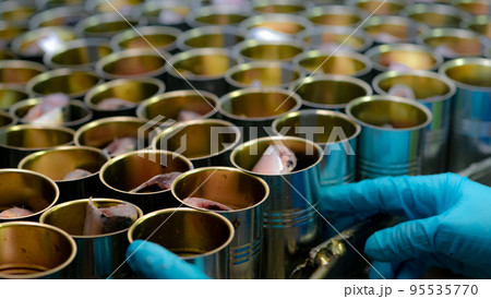 Canned fish factory. Food industry.  Food processing production line. Food manufacturing industry. Many can of sardines on a conveyor belt. Workers working in food processing factory. Cans industry. 95535770
