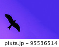 Silhouette eagle flying at sunset 95536514