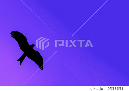 Silhouette eagle flying at sunset 95536514