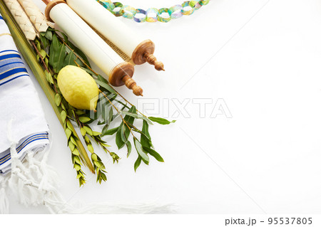 Jewish festival of Sukkot. Traditional symbols Etrog and lulav - citrus and palm. Jewish festival of Sukkot. Traditional symbols Etrog and lulav - citrus and palm. 95537805