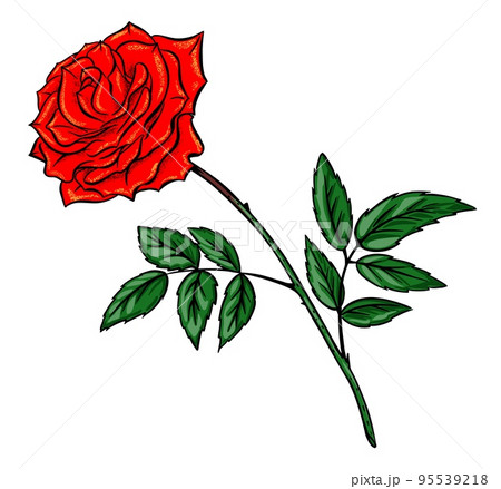 Rose Sketch Stock Illustrations – 77,102 Rose Sketch Stock Illustrations,  Vectors & Clipart - Dreamstime