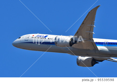 全日空 (ANA) の旅客機 B787-9 全日空 (ANA) の旅客機 B787-9 95539598