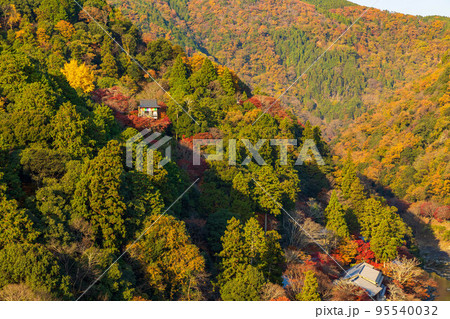 京都嵯峨嵐山の秋　紅葉の千光寺　嵐山公園展望台からの眺望 95540032