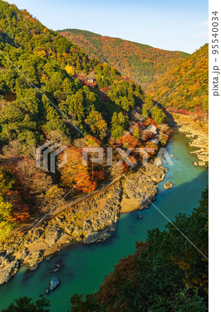京都嵯峨嵐山の秋　紅葉の保津峡（嵐峡）　嵐山公園展望台からの眺望 95540034