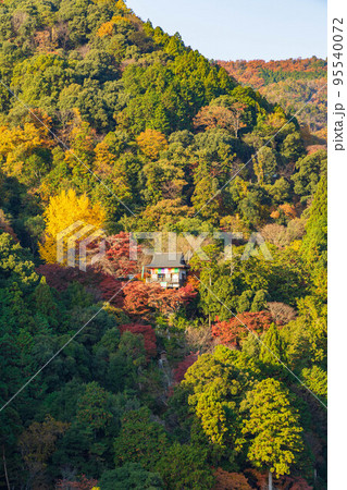 京都嵯峨嵐山の秋　紅葉の千光寺　嵐山公園展望台からの眺望 95540072