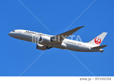 日本航空 (JAL) の旅客機 B787-8 95540208