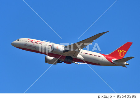 エア・インディアの旅客機 B787-8 (グル・ナーナク生誕550周年記念塗装) 95540598