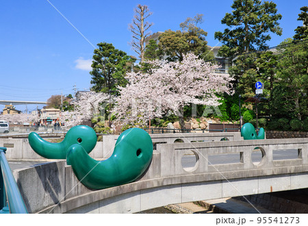 〈島根県〉春の玉造温泉　まがたま橋 95541273