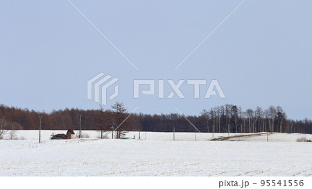 北海道 十勝地方 牧場のある風景 北海道 十勝地方 牧場のある風景 95541556