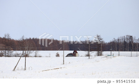 北海道　十勝地方　牧場のある風景 95541558