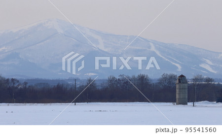 北海道　十勝地方　サイロのある風景 95541560