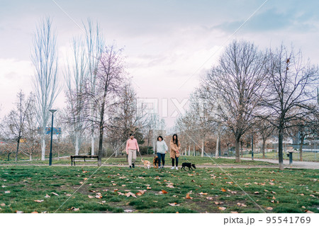 a group of friends with their dogs taking a walk a group of friends with their dogs taking a walk 95541769