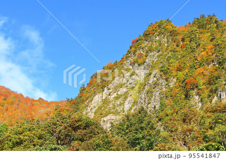 錦秋の秋山郷 布岩 錦秋の秋山郷 布岩 95541847