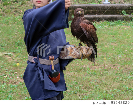 鷹匠の体験 鷹匠の体験 95542829