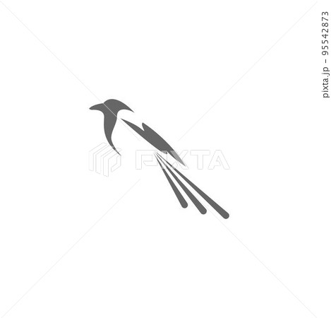 Magpie logo icon illustration design Magpie logo icon illustration design 95542873