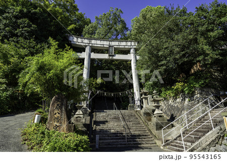 三原八幡宮　鳥居　広島県三原市 95543165