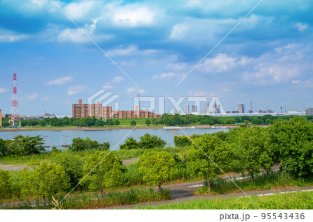 彩湖公園付近 荒川土手からの眺め 夏の風景 彩湖公園付近 荒川土手からの眺め 夏の風景 95543436