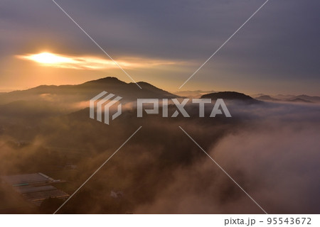 鎌倉山の雲海 95543672