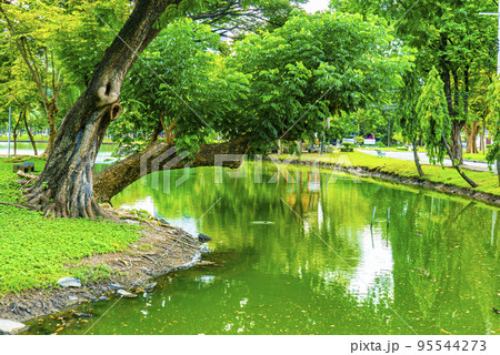 都会のオアシスルンピニー公園 95544273