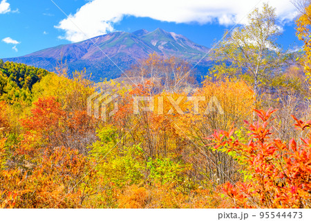 紅葉と乗鞍岳 95544473
