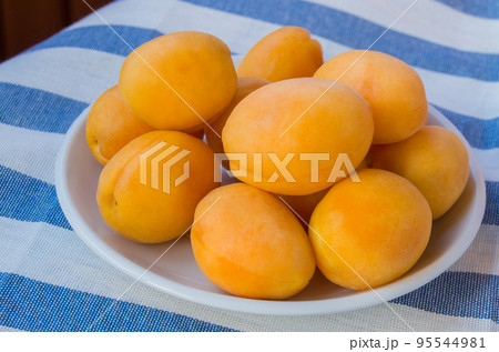 fresh ripe apricots in a white bowl on striped cloth 95544981