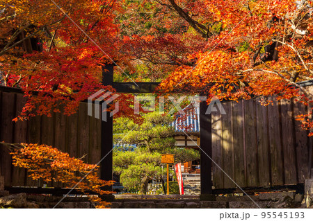 京都嵯峨嵐山の秋 紅葉の二尊院 京都嵯峨嵐山の秋 紅葉の二尊院 95545193