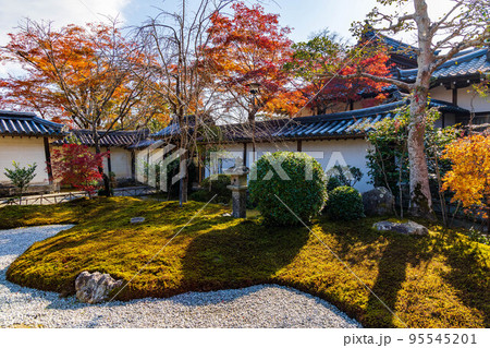 京都嵯峨嵐山の秋 紅葉の二尊院 京都嵯峨嵐山の秋 紅葉の二尊院 95545201