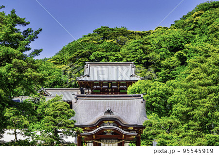 鎌倉　鶴岡八幡宮　本宮と舞殿 95545919