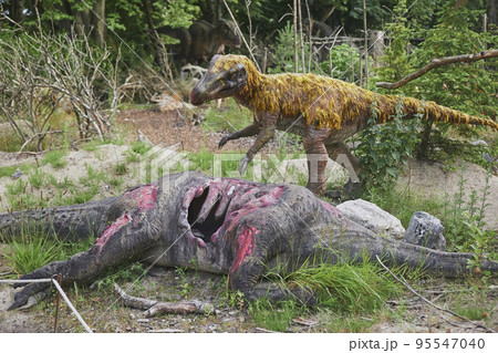 Decorative battle of two dinosaurs at Danish zoo in Aalborg Decorative battle of two dinosaurs at Danish zoo in Aalborg 95547040