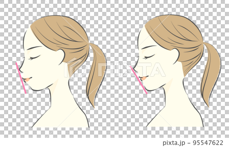 E line comparison Profile female illustration Summary hair E line comparison Profile female illustration Summary hair 95547622